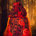 Red Riding Hood by dorsethelen