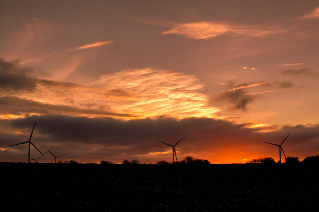 Sunset Wind farm  by rjb71