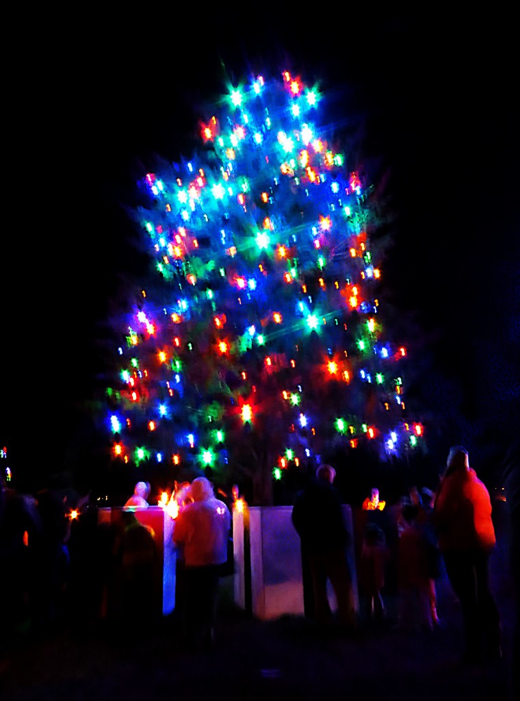 Middle Smithfield Christmas Tree Lighting 1 by olivetreeann