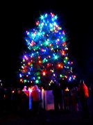 26th Nov 2016 - Middle Smithfield Christmas Tree Lighting 1