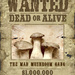 Wanted Mushrooms by olivetreeann