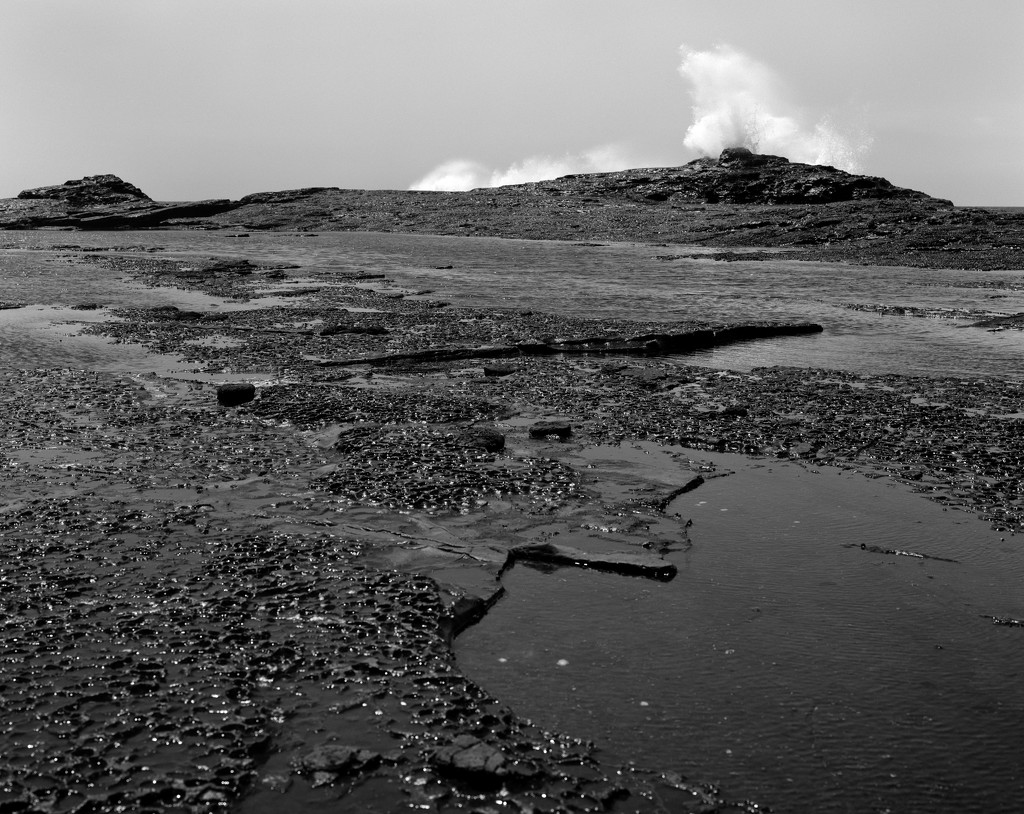 Low tide at Black Head by peterdegraaff