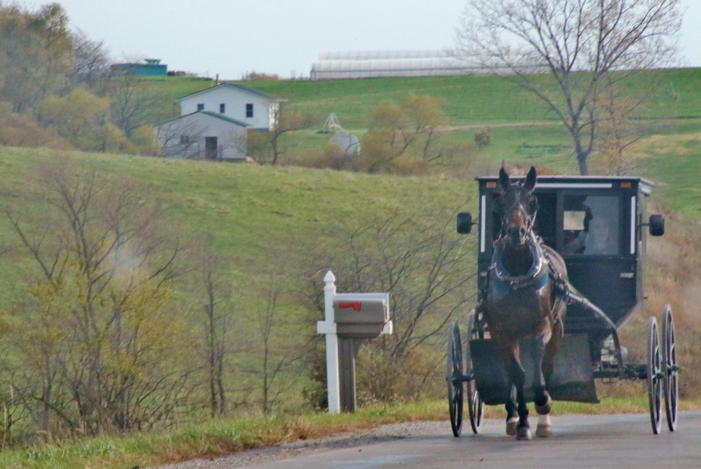 Amish in Iowa by lynnz