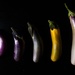 Eggplant by erinhull