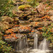 Autumn Falls II by lynne5477
