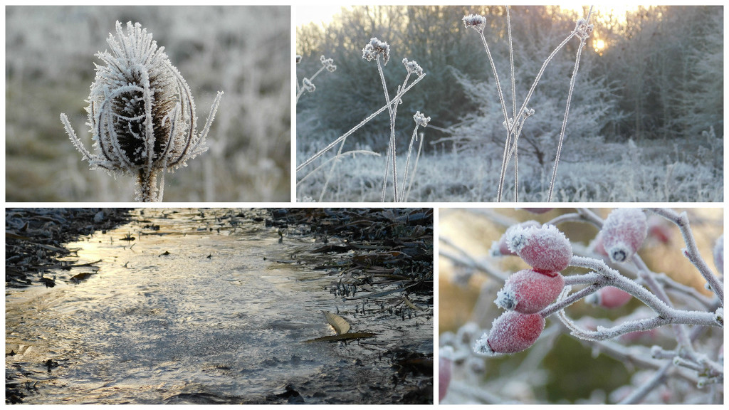  Frosty collage by 365anne