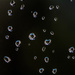 A View Through Droplets by evalieutionspics