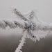 Jack Frost  by flowerfairyann
