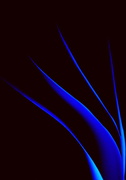 30th Nov 2016 - Abstract #2  -Severe Blue