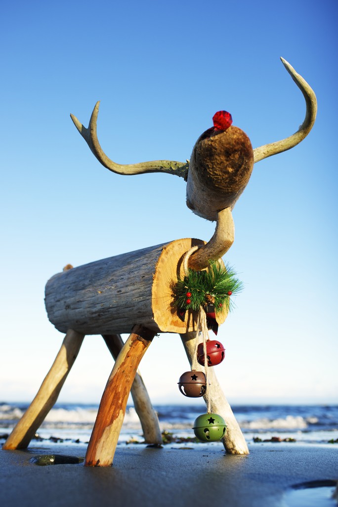 Driftwood Reindeer by kwind