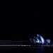 opera house by night by pocketmouse