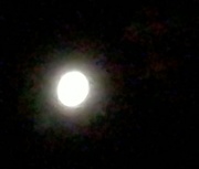 10th Nov 2016 - Moon