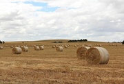 1st Dec 2016 - Rolled bales on rolling hills