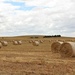 Rolled bales on rolling hills by leggzy