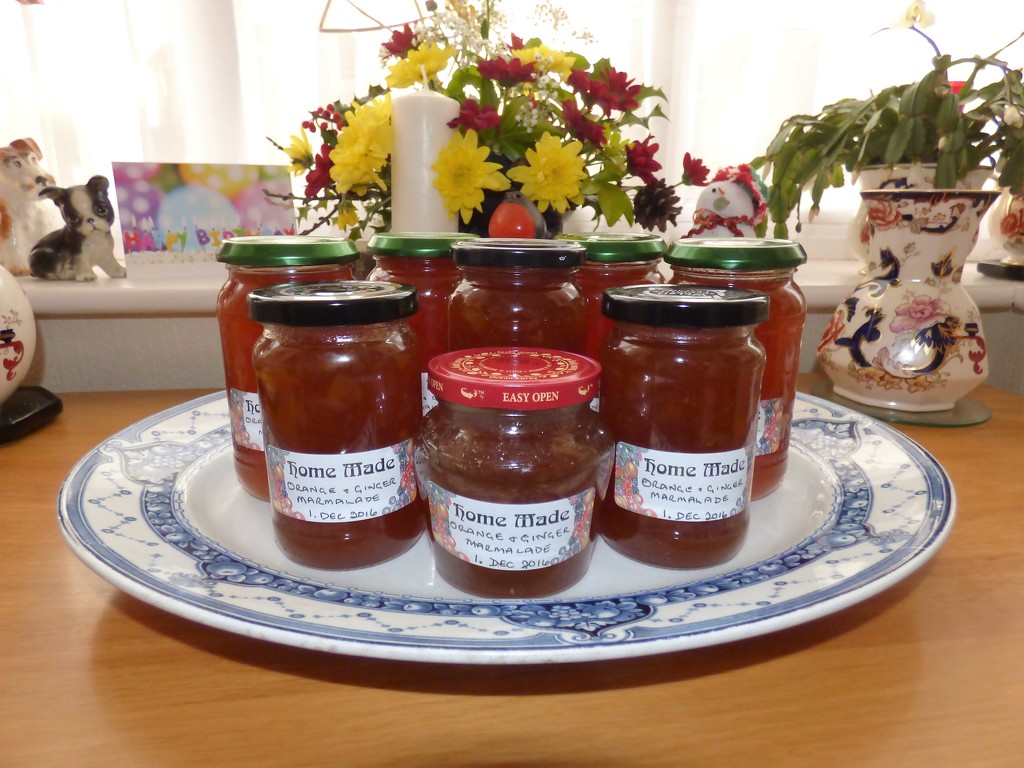 Orange and Ginger Marmalade  by beryl