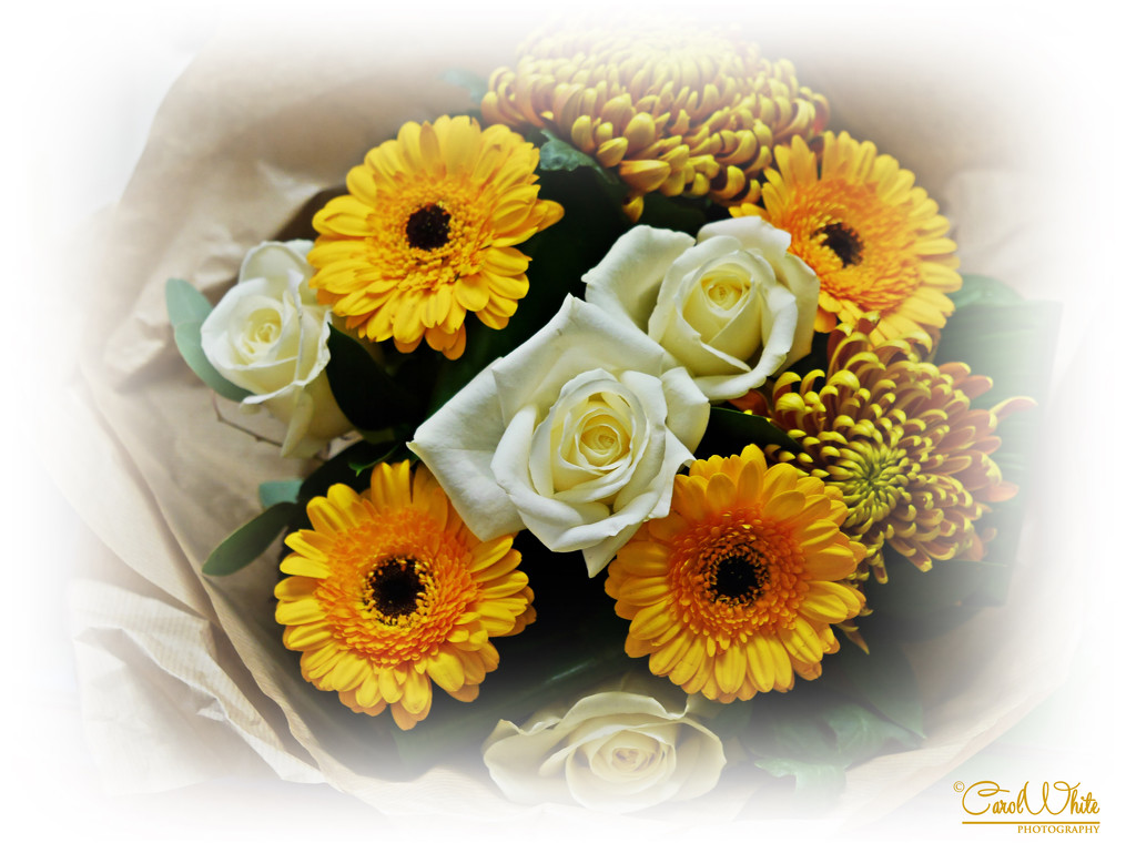 Bouquet by carolmw