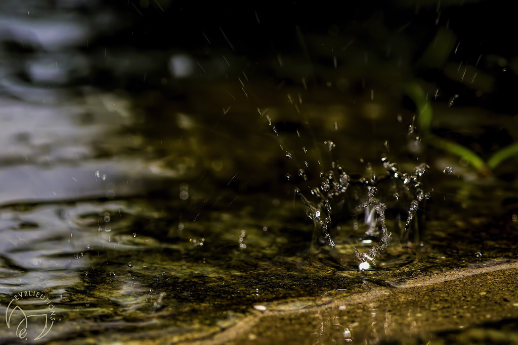 Splish Splash by evalieutionspics
