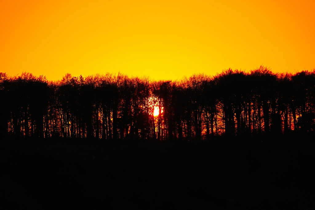 Orange Sunset by phil_sandford