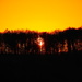 Orange Sunset by phil_sandford