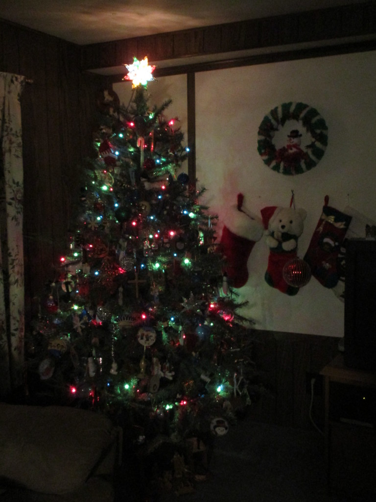 The Tree is Up by julie