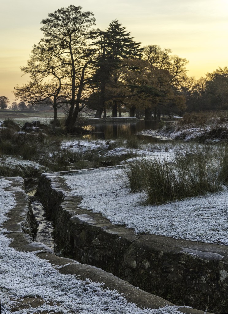 Frosty Morning 2 by shepherdmanswife
