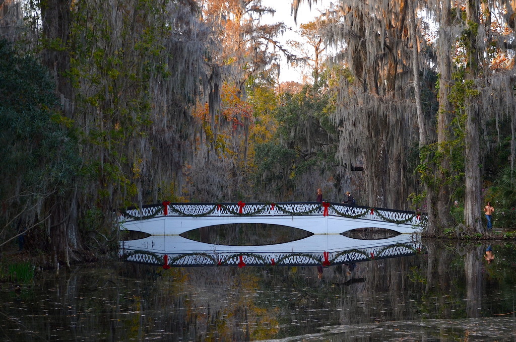 Long White Bridge, Magnolia Gardens, South Carolina by congaree