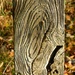 Fence Post by fishers