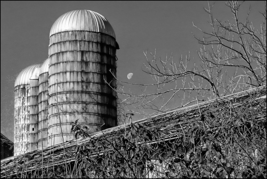Three Silos and the Moon in Black and White by olivetreeann