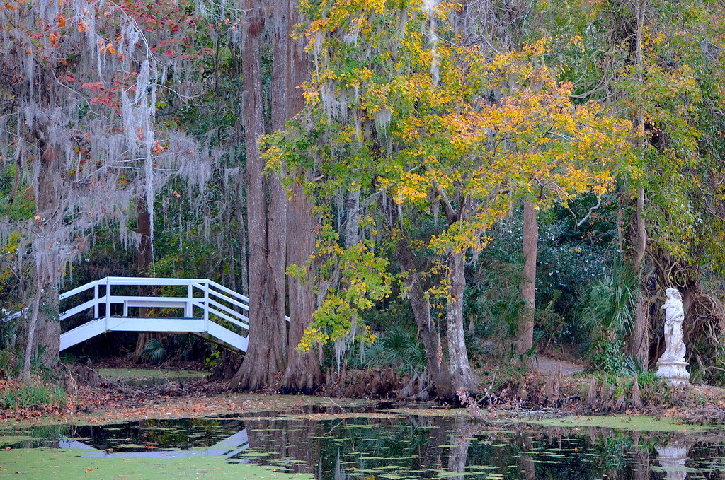 Autumn scene at Magnolia Gardens, Charleston, SC by congaree