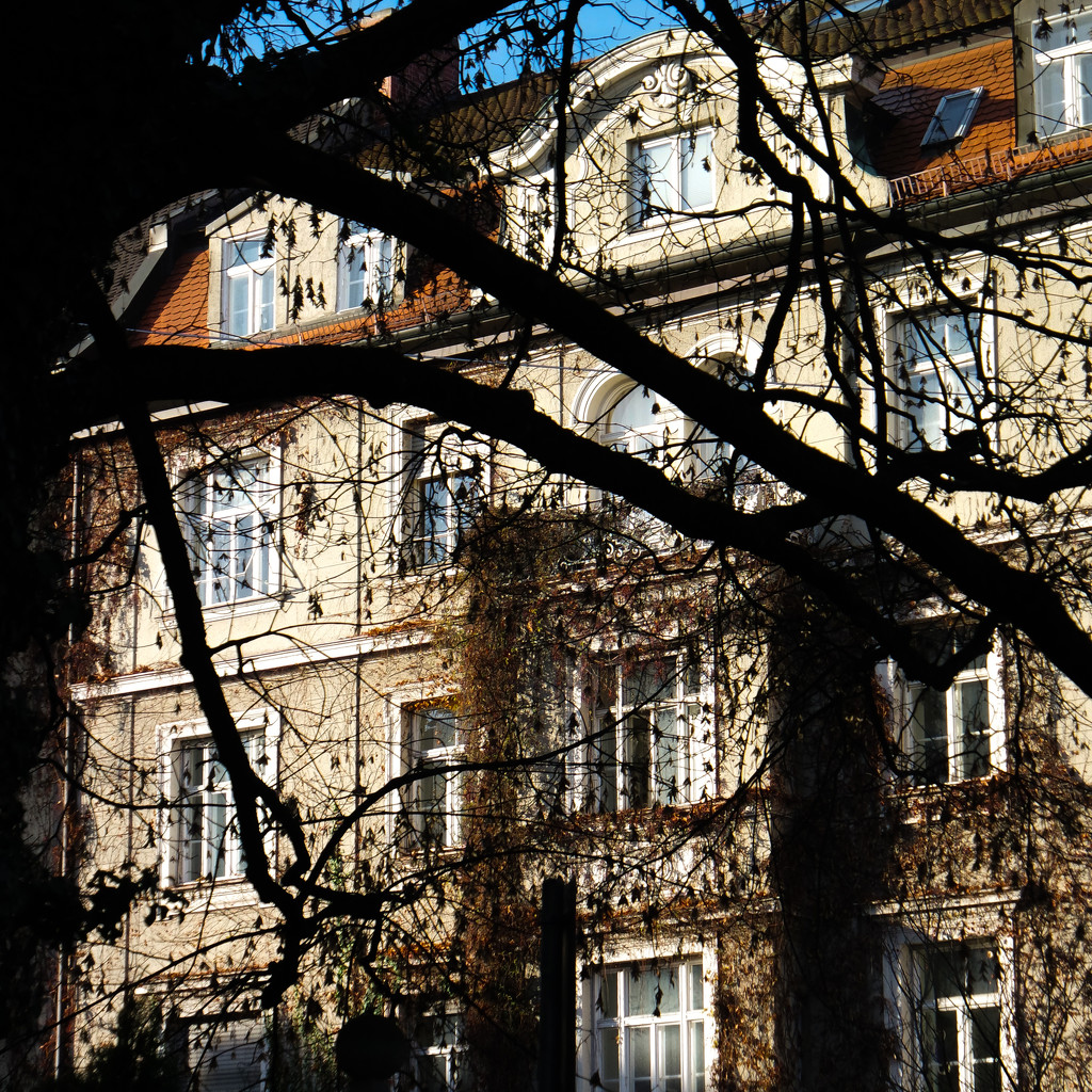 Schwabing by toinette