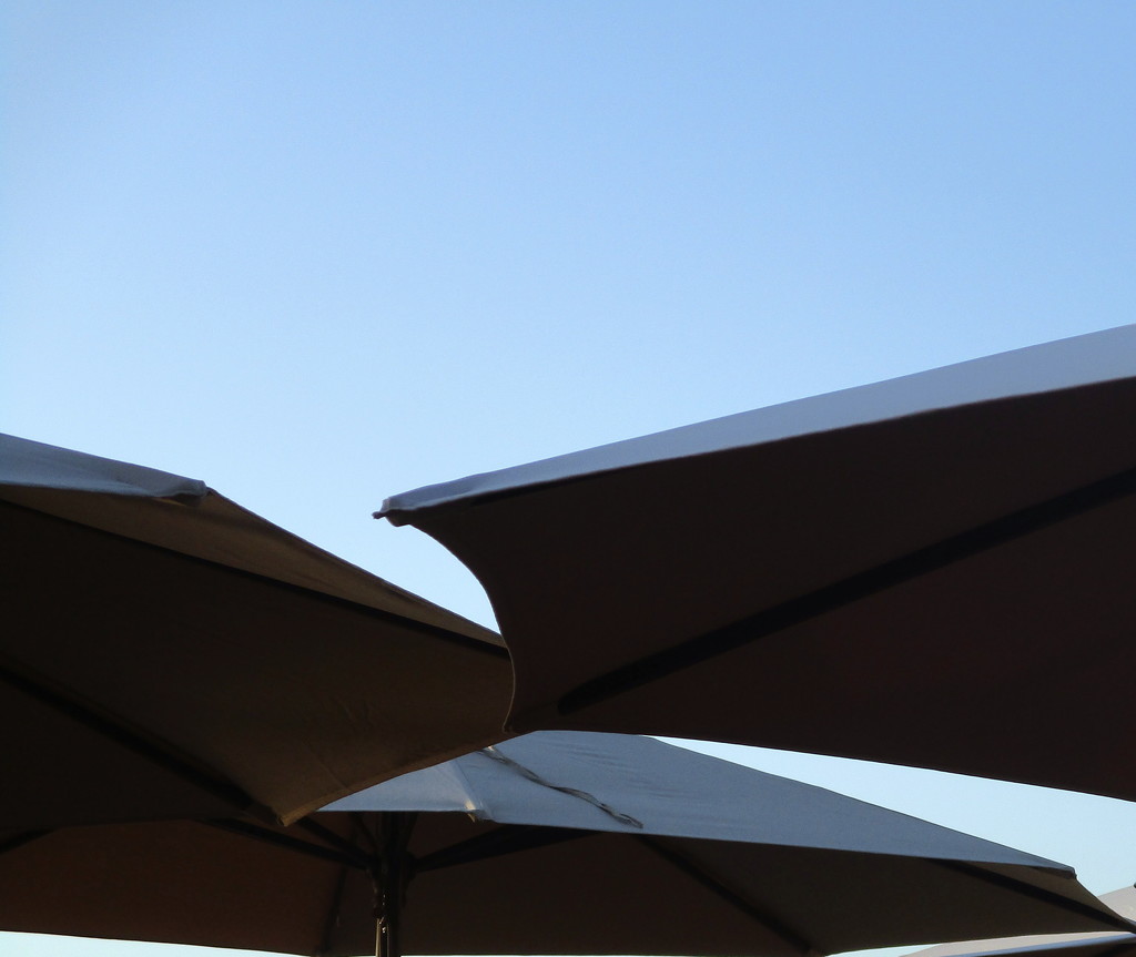 Umbrellas, Laguna Beach by granagringa