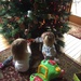 Helping Grandma with the ornaments  by mdoelger