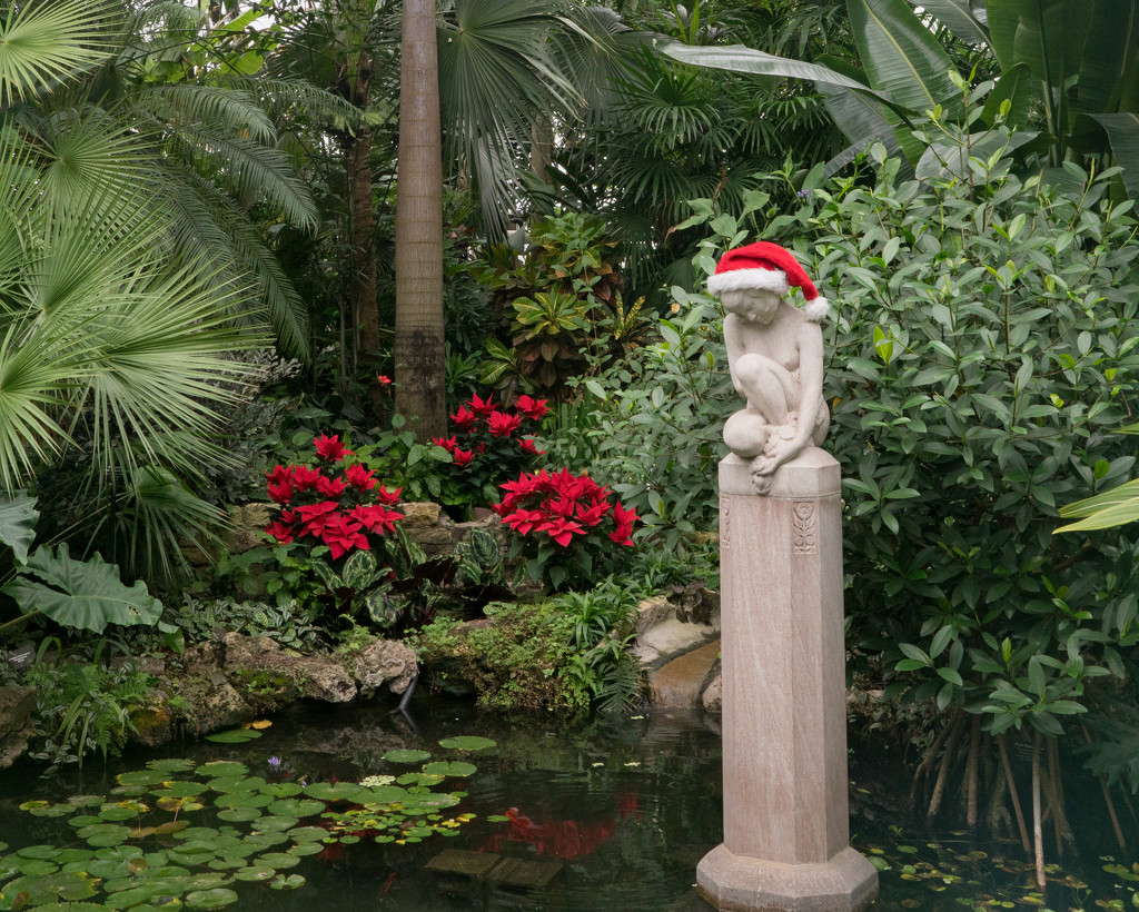 Palm Room Santa Landscape by rminer