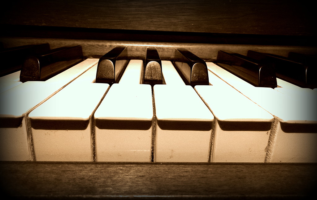 Piano Keys by homeschoolmom