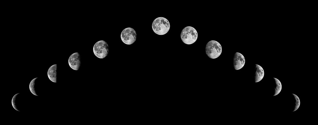 Phases of the Moon by rosiekerr