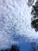 2nd Dec 2016 - Clouds