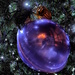 A world inside a Christmas ball by spectrum