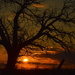 Kansas Sunset 11-29-16 by kareenking