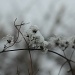 winter sooc by parisouailleurs
