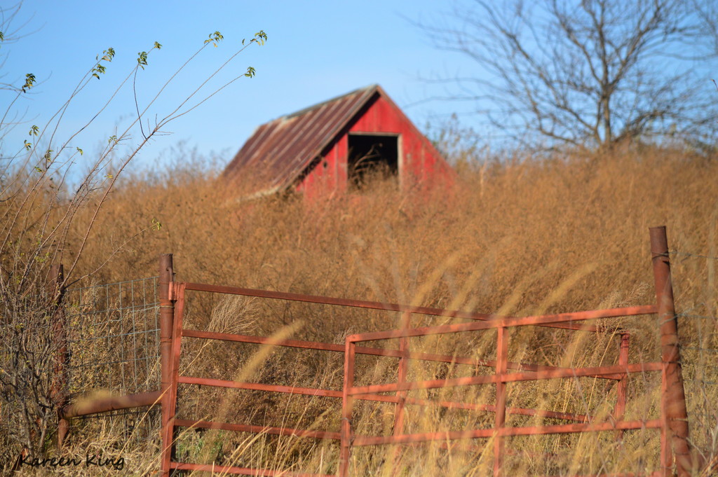 Red Barn and Fence by kareenking