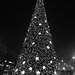 Look who got a Christmas Tree  by sarahabrahamse