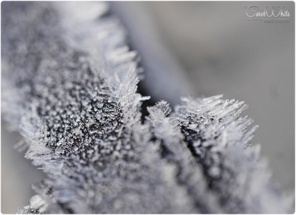 Frosty Shards (best viewed on black) by carolmw