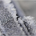 Frosty Shards (best viewed on black) by carolmw