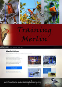 5th Dec 2016 - Training Merlin