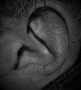 5th Dec 2016 - 'ear ear