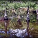 Swamp Cypress Reflections by yorkshirekiwi