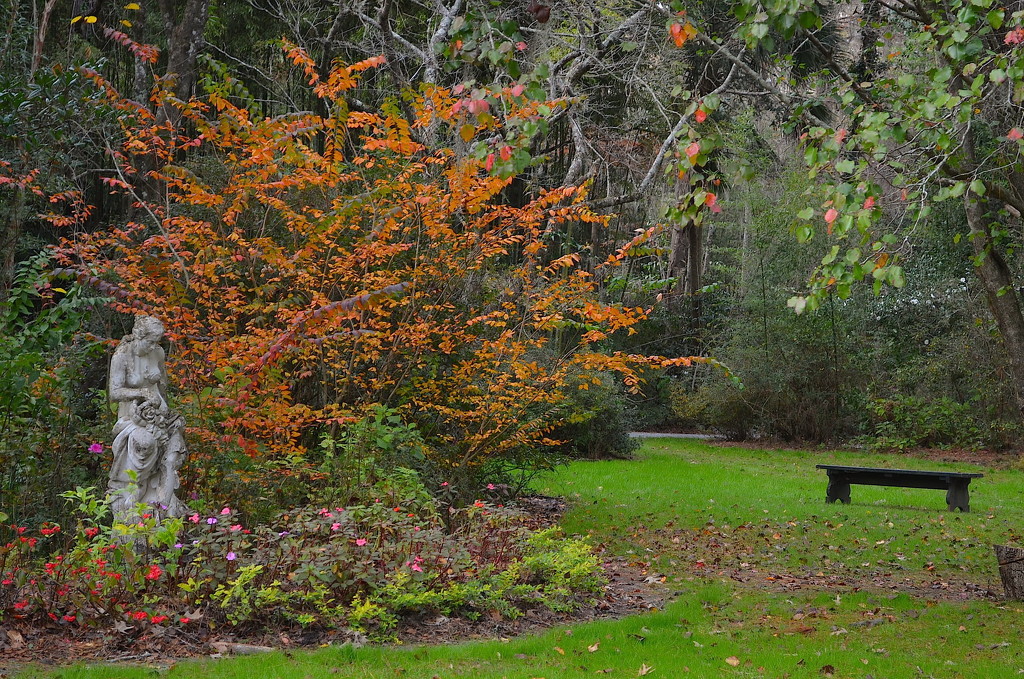 Magnolia Gardens, Statue and Autumn scene by congaree