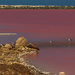 Pink Lake by gosia