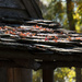 Roof with leaves by randystreat