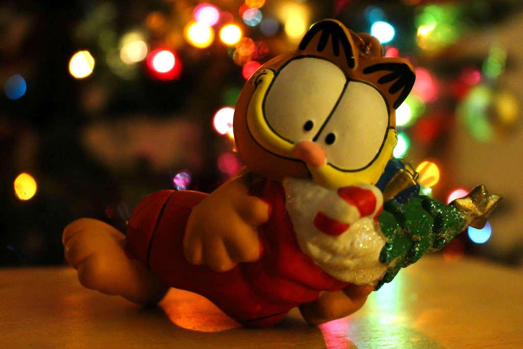 Garfield is ready for Christmas by mittens